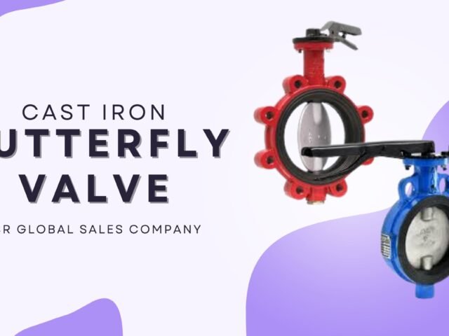 Butterfly Valve, Cast Iron Butterfly Valve