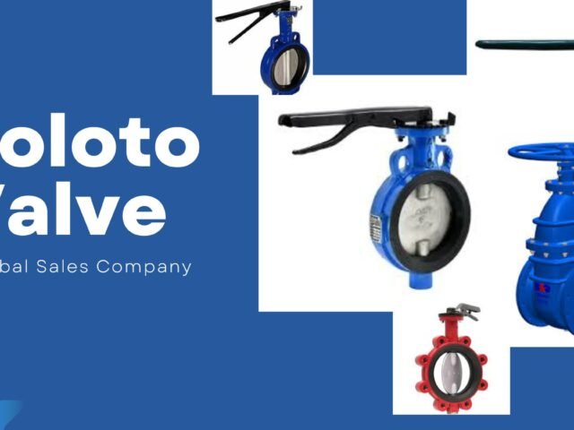 Zoloto Valves, Medium Pressure Zoloto NRV Valves