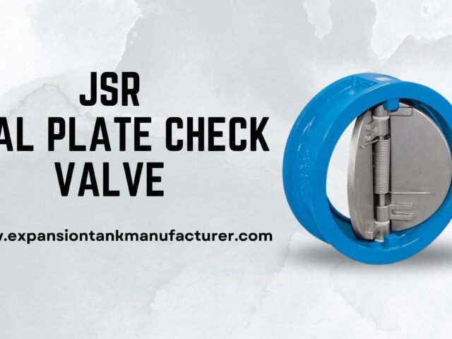 jsr Dual plate check valve manufacturer on Delhi