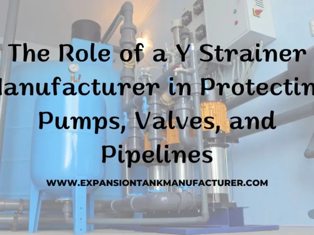 Y Strainers Manufacturer